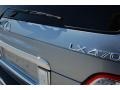 2004 Blue Vapor Metallic Lexus LX 470  photo #22
