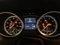 Black - GL 450 4Matic Photo No. 21