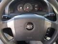 Alpine Gray - Sorento LX Photo No. 17