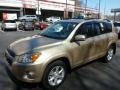 Sandy Beach Metallic - RAV4 Limited 4WD Photo No. 3