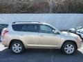 Sandy Beach Metallic - RAV4 Limited 4WD Photo No. 10