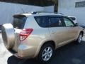 Sandy Beach Metallic - RAV4 Limited 4WD Photo No. 15