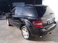 Black - ML 350 4Matic Photo No. 10