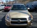 Sandy Beach Metallic - RAV4 Limited 4WD Photo No. 18