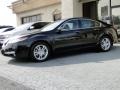 Crystal Black Pearl - TL 3.5 Photo No. 3