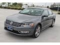 Platinum Gray Metallic - Passat 1.8T SEL Premium Photo No. 3