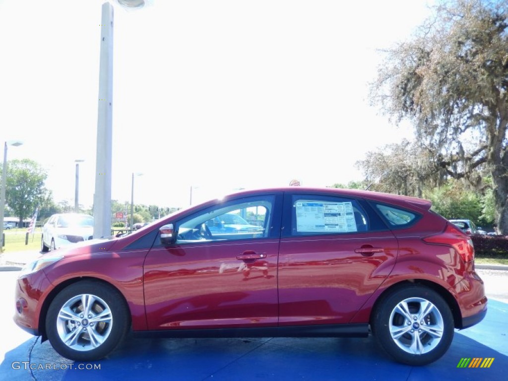 2014 Focus SE Hatchback - Ruby Red / Medium Light Stone photo #2