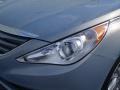Iridescent Silver Blue Pearl - Sonata GLS Photo No. 9