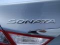 Iridescent Silver Blue Pearl - Sonata GLS Photo No. 13