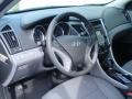 Iridescent Silver Blue Pearl - Sonata GLS Photo No. 23
