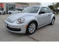 Reflex Silver Metallic - Beetle 2.5L Photo No. 1