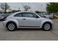 Reflex Silver Metallic - Beetle 2.5L Photo No. 6