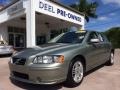 2007 Willow Green Metallic Volvo S60 2.5T #92138035