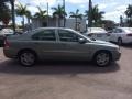 Willow Green Metallic - S60 2.5T Photo No. 6