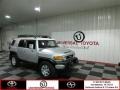 Titanium Metallic - FJ Cruiser 4WD Photo No. 1