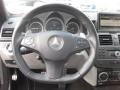 Steel Grey Metallic - C 63 AMG Photo No. 19