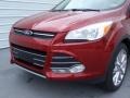 2014 Ruby Red Ford Escape SE 1.6L EcoBoost  photo #11