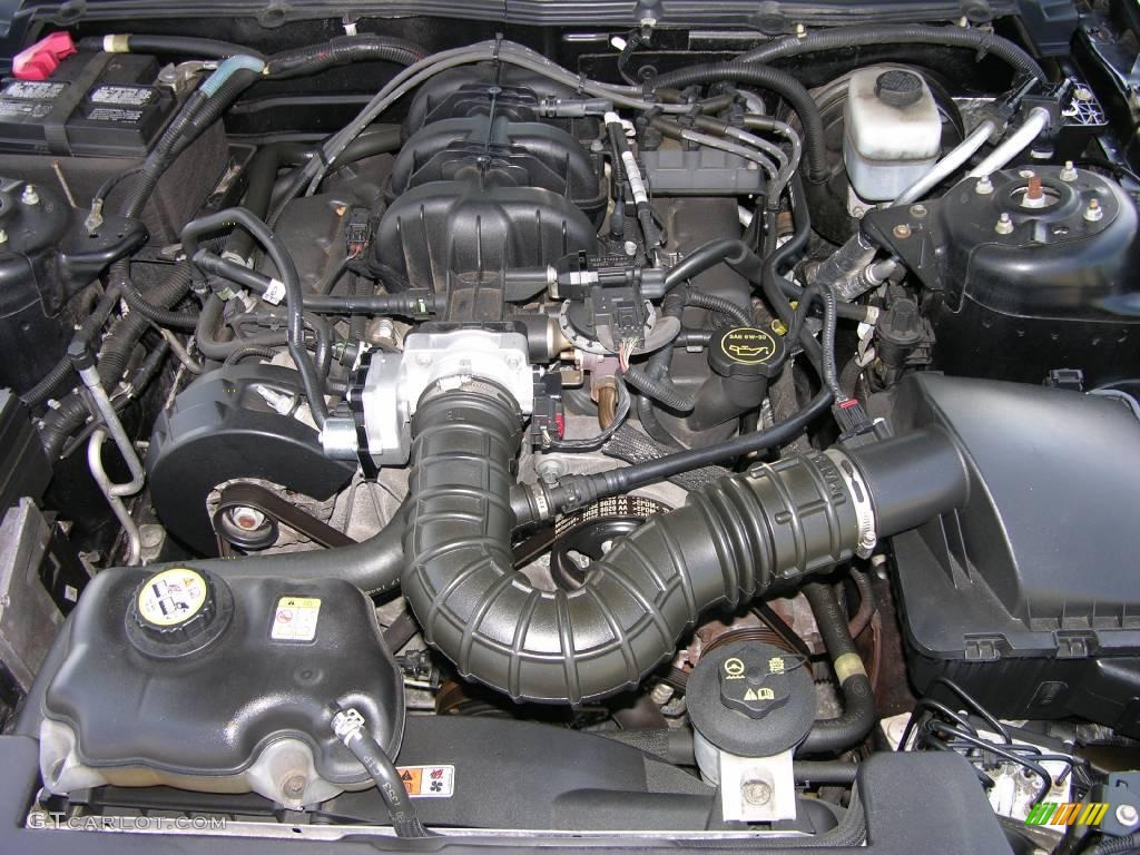 2005 Mustang V6 Premium Coupe - Black / Light Graphite photo #22