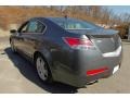 Polished Metal Metallic - TL 3.5 Technology Photo No. 7