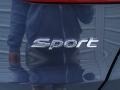 2014 Marlin Blue Hyundai Santa Fe Sport FWD  photo #15