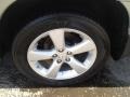 Bamboo Pearl - RX 350 AWD Photo No. 19