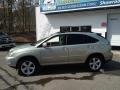 Bamboo Pearl - RX 350 AWD Photo No. 20