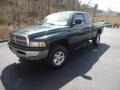 Forest Green Pearl 2001 Dodge Ram 1500 Gallery