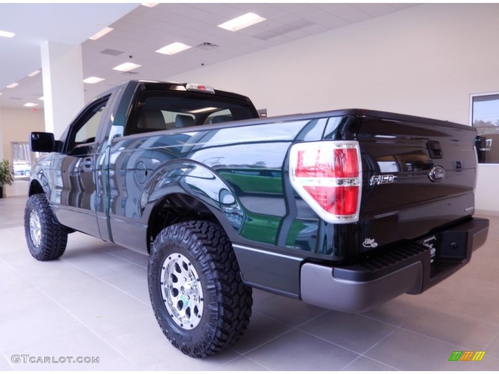 2014 F150 XL Regular Cab - Green Gem / Steel Grey photo #2