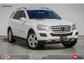 Arctic White - ML 350 Photo No. 1