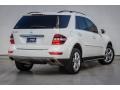 Arctic White - ML 350 Photo No. 13