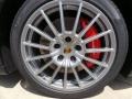 2014 Porsche Panamera GTS Wheel and Tire Photo
