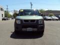 2004 Galapagos Green Metallic Honda Element EX AWD  photo #4