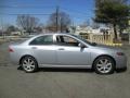 Satin Silver Metallic - TSX Sedan Photo No. 9