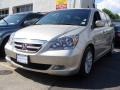 Silver Pearl Metallic - Odyssey Touring Photo No. 1