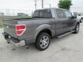 2014 Sterling Grey Ford F150 Lariat SuperCrew  photo #5