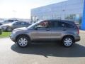 Urban Titanium Metallic - CR-V SE 4WD Photo No. 2