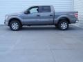 Sterling Gray Metallic - F150 XLT SuperCrew 4x4 Photo No. 6