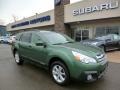 Cypress Green Pearl - Outback 2.5i Premium Photo No. 1