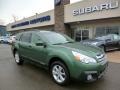 2014 Cypress Green Pearl Subaru Outback 2.5i Premium  photo #1