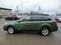 2014 Cypress Green Pearl Subaru Outback 2.5i Premium  photo #4