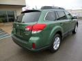 2014 Cypress Green Pearl Subaru Outback 2.5i Premium  photo #7