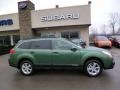 2014 Cypress Green Pearl Subaru Outback 2.5i Premium  photo #8