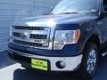 2014 Blue Jeans Ford F150 XLT SuperCrew  photo #11