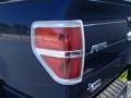 2014 Blue Jeans Ford F150 XLT SuperCrew  photo #18