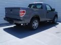 2014 Sterling Grey Ford F150 STX Regular Cab  photo #4