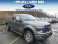 2014 Sterling Grey Ford F150 FX4 SuperCab 4x4  photo #1