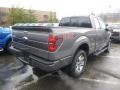 2014 Sterling Grey Ford F150 FX4 SuperCab 4x4  photo #2