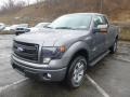 2014 Sterling Grey Ford F150 FX4 SuperCab 4x4  photo #5