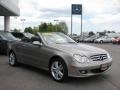 2006 Pewter Metallic Mercedes-Benz CLK 350 Cabriolet  photo #3