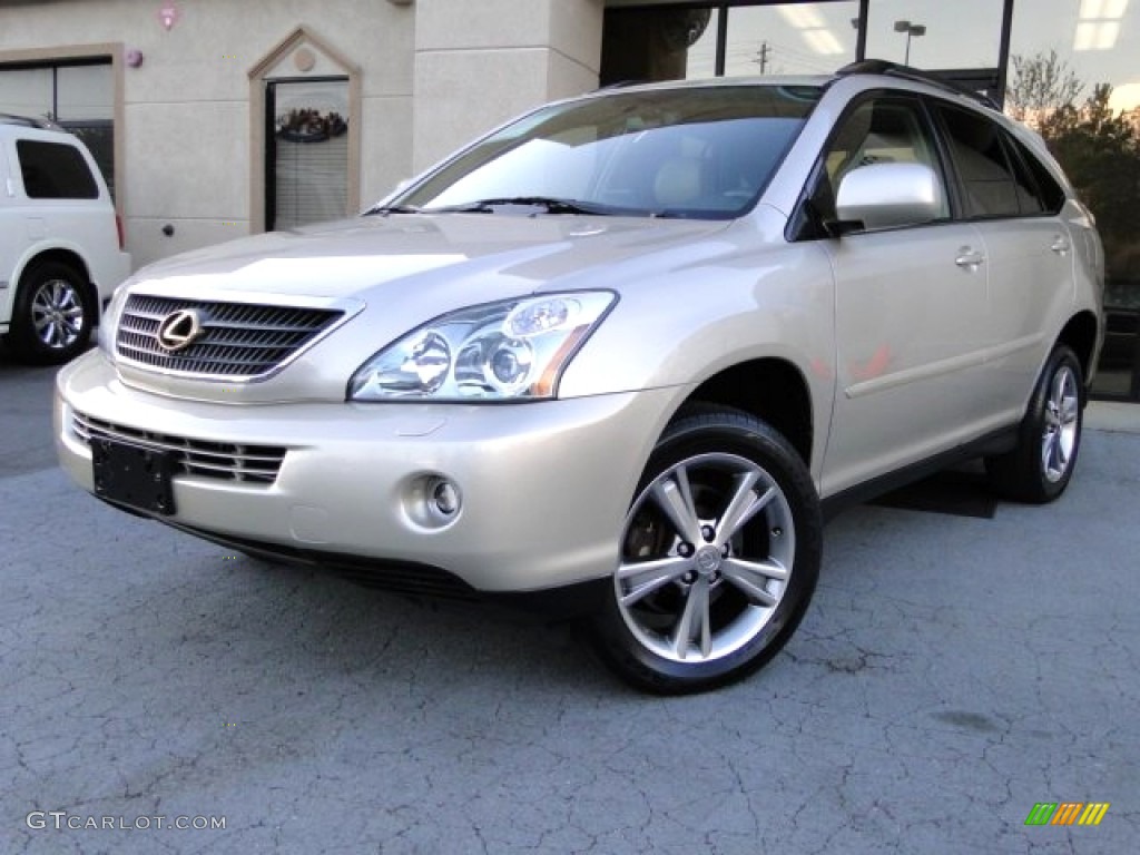 Savannah Metallic Lexus RX